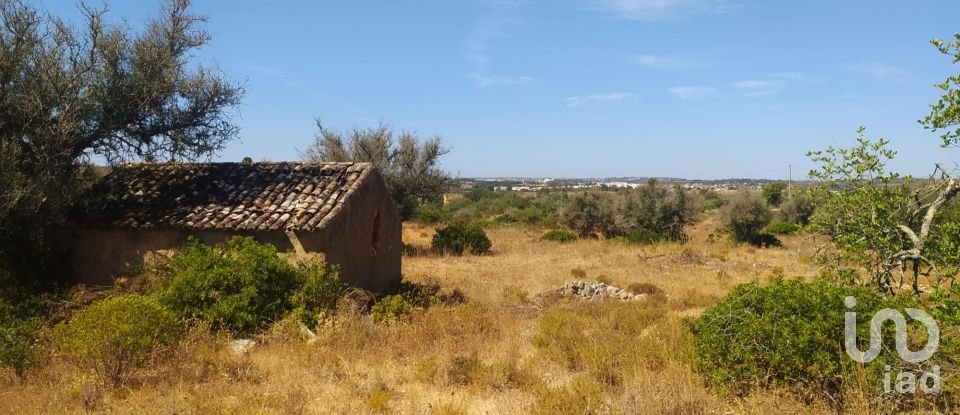 Terreno em Mexilhoeira Grande de 20 560 m²