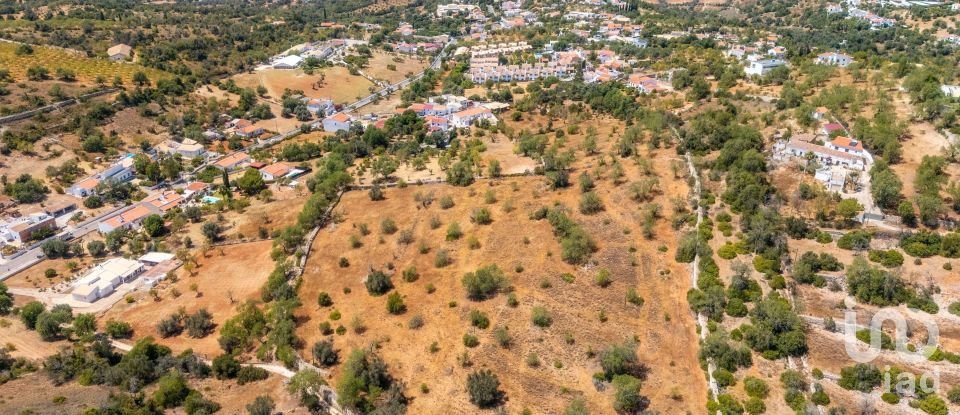 Building land in Paderne of 32,240 m²