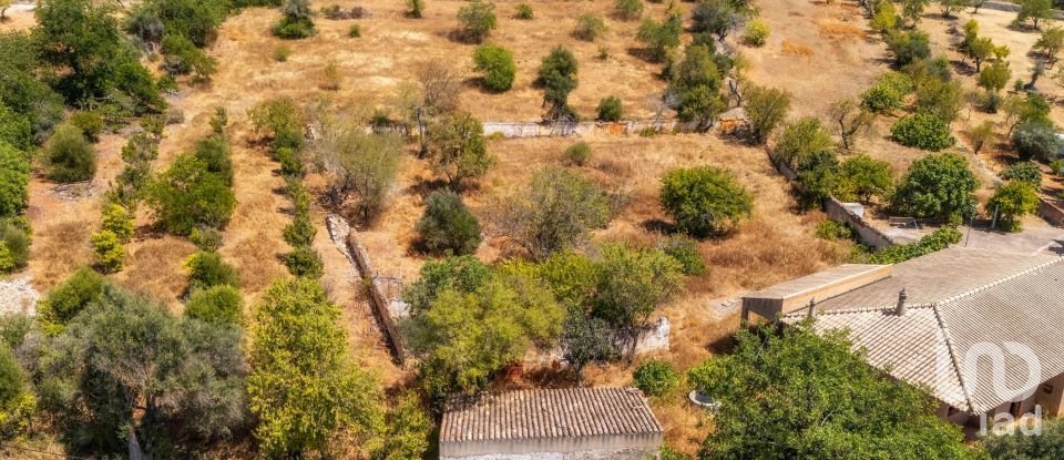 Building land in Paderne of 32,240 m²