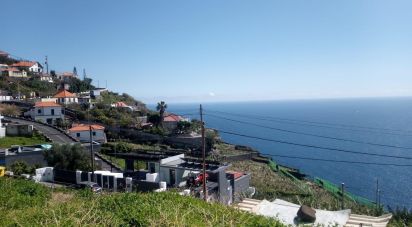 House T2 in Ribeira Brava of 68 m²