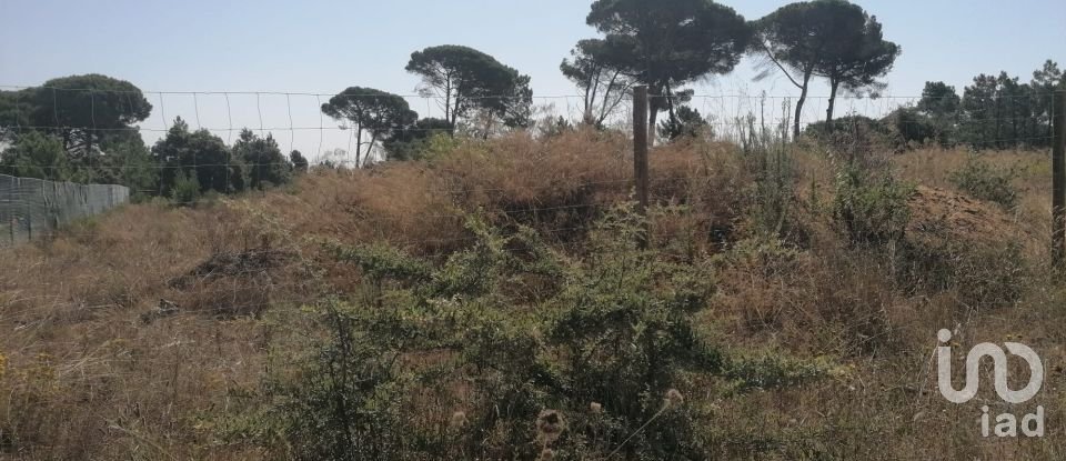 Terreno para construção em Sesimbra (Castelo) de 5 000 m²