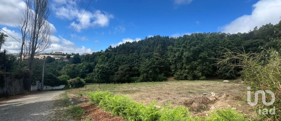 Terrain à Recezinhos (São Mamede) de 4 398 m²