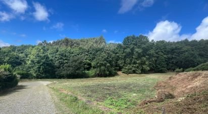 Terrain à Recezinhos (São Mamede) de 4 398 m²