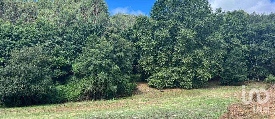 Terrain à Recezinhos (São Mamede) de 4 398 m²