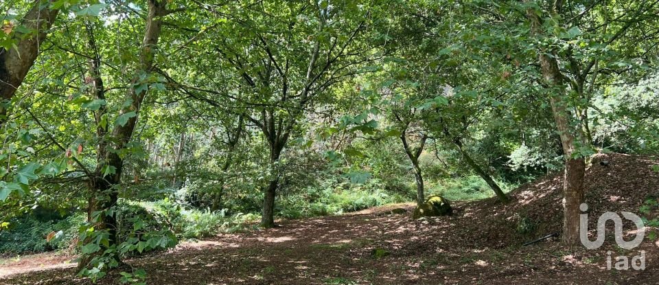 Terrain à Recezinhos (São Mamede) de 4 398 m²