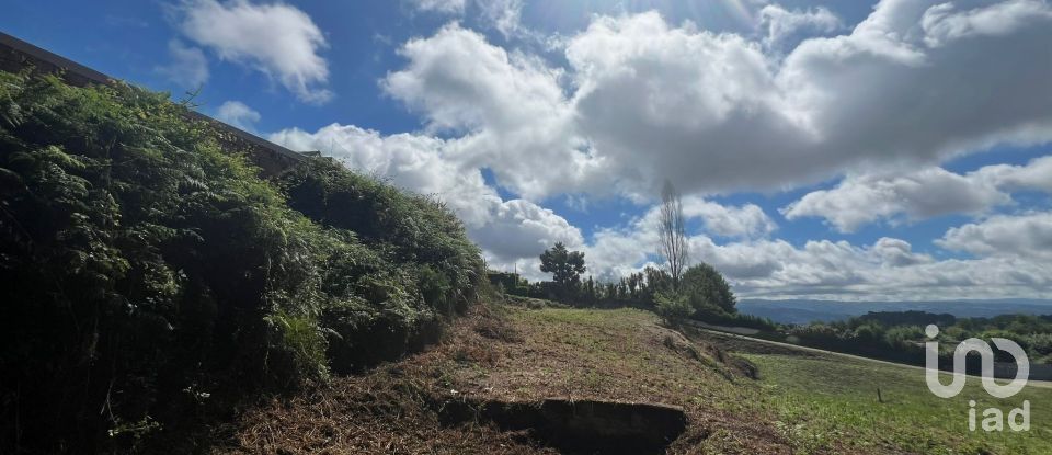 Terrain à Recezinhos (São Mamede) de 4 398 m²