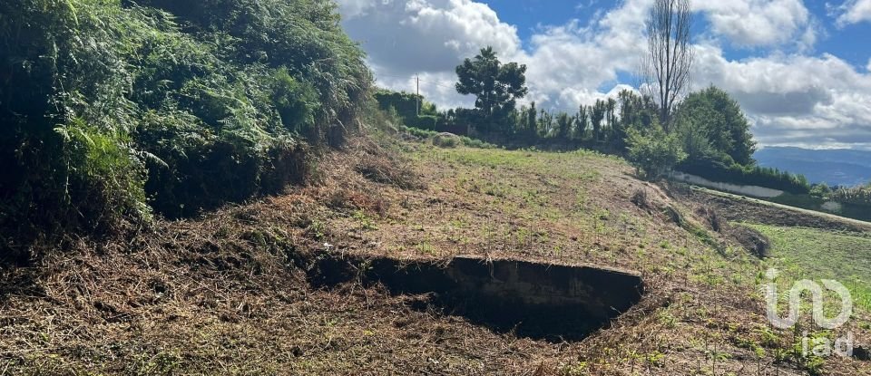 Terrain à Recezinhos (São Mamede) de 4 398 m²