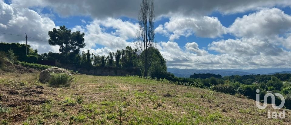 Terrain à Recezinhos (São Mamede) de 4 398 m²