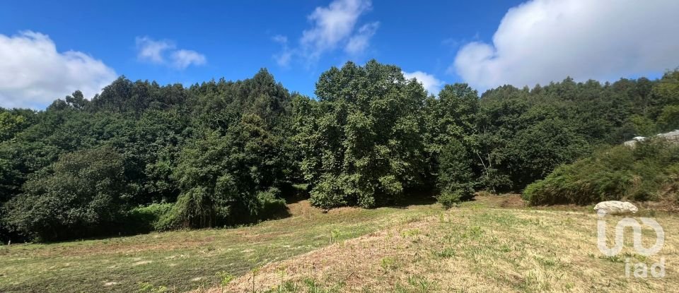 Terrain à Recezinhos (São Mamede) de 4 398 m²