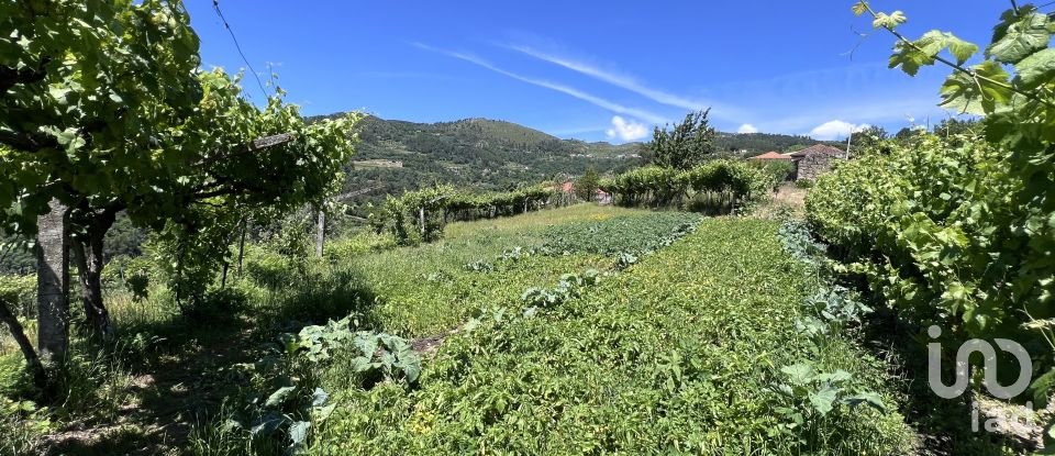 Gîte T2 à Santa Cruz do Douro e São Tomé de Covelas de 111 m²