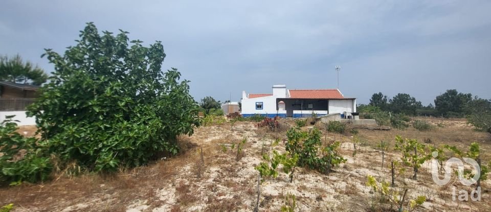 Casa / Villa T3 em Comporta de 116 m²