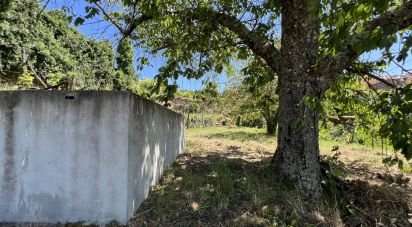 Building land in Gouviães e Ucanha of 5,530 m²