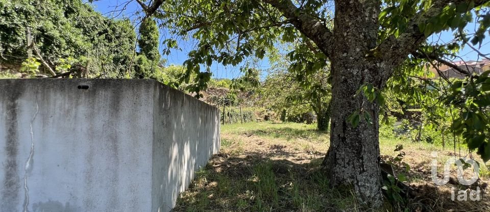 Building land in Gouviães e Ucanha of 5,530 m²