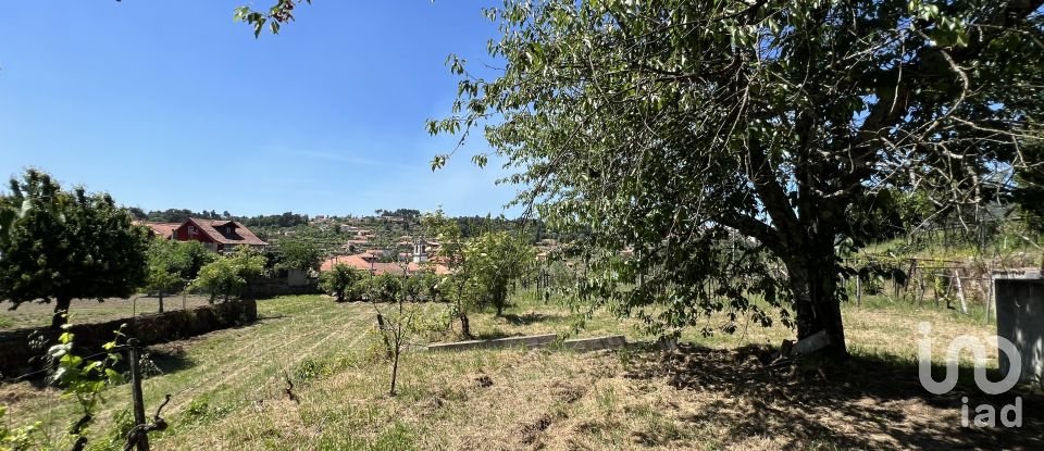 Terreno para construção em Gouviães e Ucanha de 5 530 m²