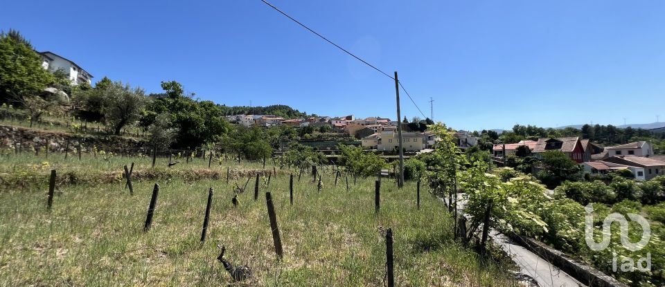 Terreno para construção em Gouviães e Ucanha de 5 530 m²