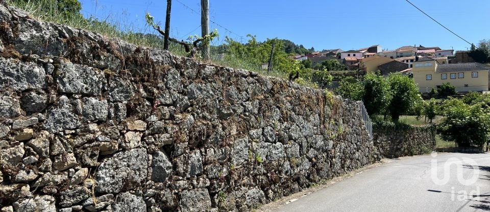 Terreno para construção em Gouviães e Ucanha de 5 530 m²