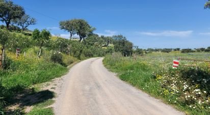 Ferme T5 à Ourique de 793 100 m²