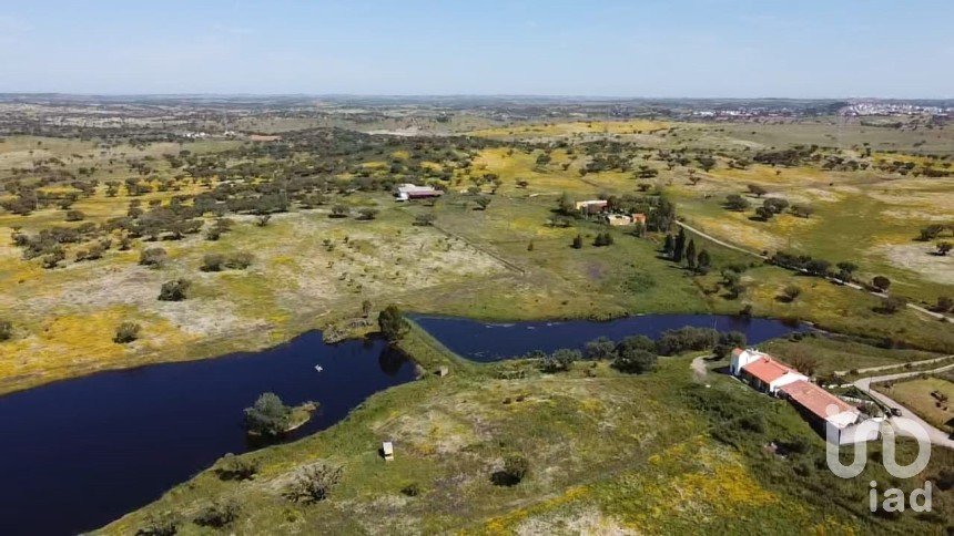 Ferme T5 à Ourique de 793 100 m²