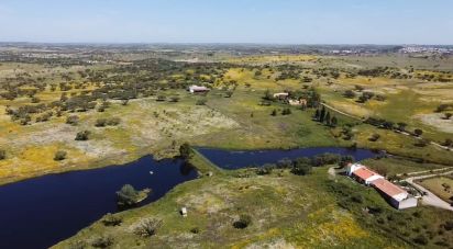 Ferme T5 à Ourique de 793 100 m²