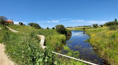 Ferme T5 à Ourique de 793 100 m²