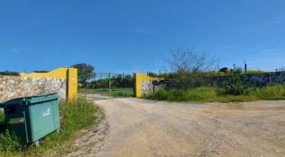 Farm T5 in Ourique of 793,100 m²