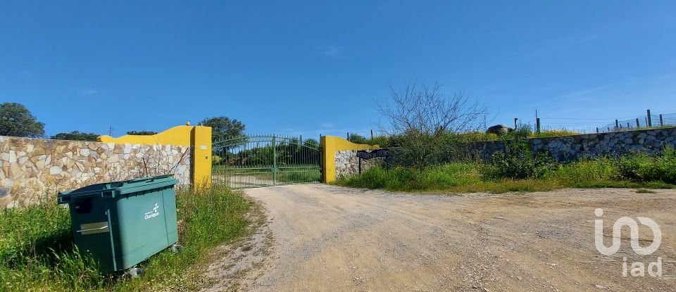 Ferme T5 à Ourique de 793 100 m²