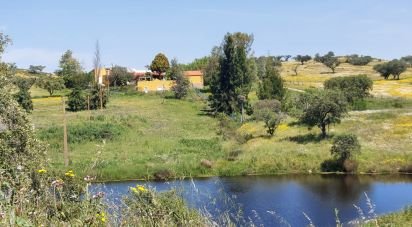 Ferme T5 à Ourique de 793 100 m²