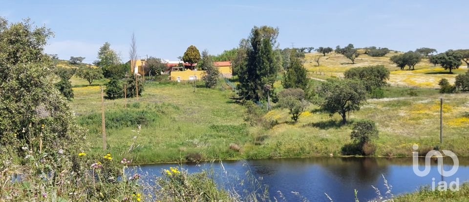 Ferme T5 à Ourique de 793 100 m²