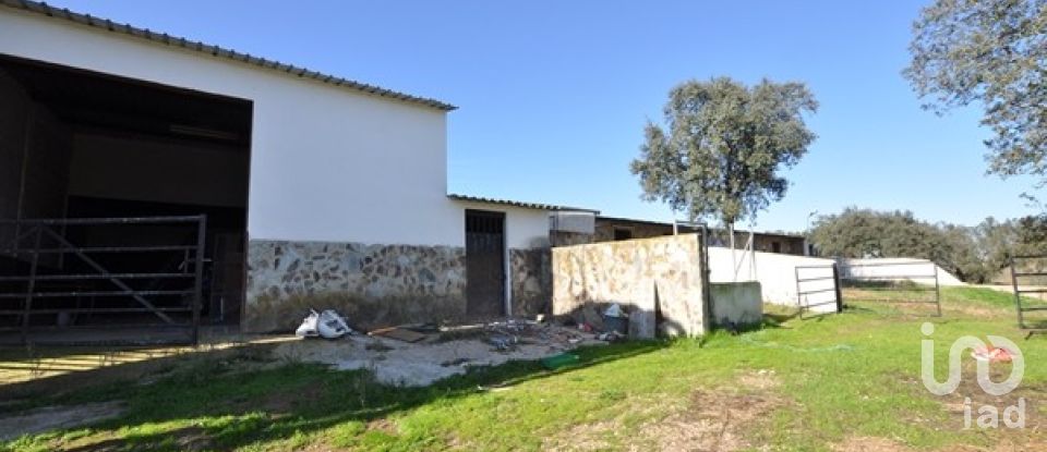 Ferme T5 à Ourique de 793 100 m²