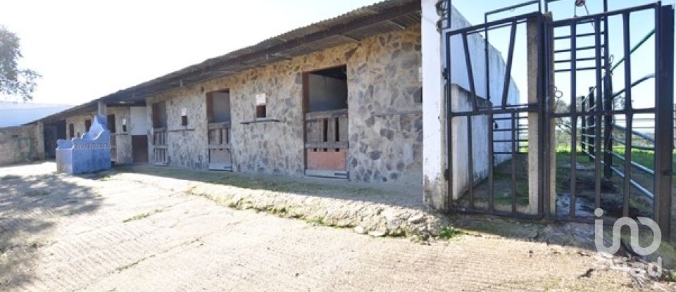 Ferme T5 à Ourique de 793 100 m²