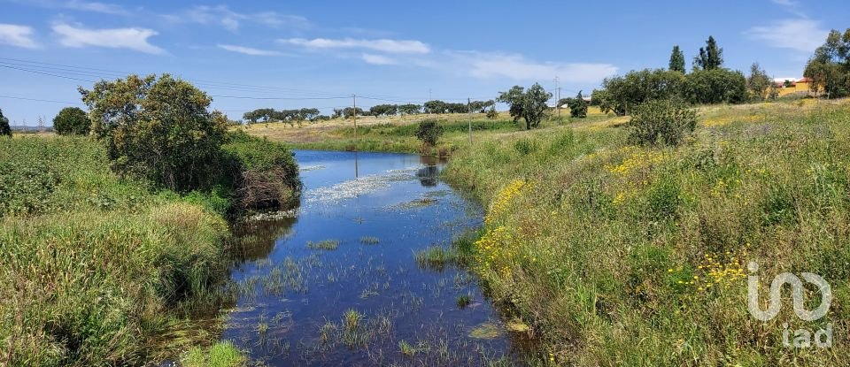 Ferme T5 à Ourique de 793 100 m²