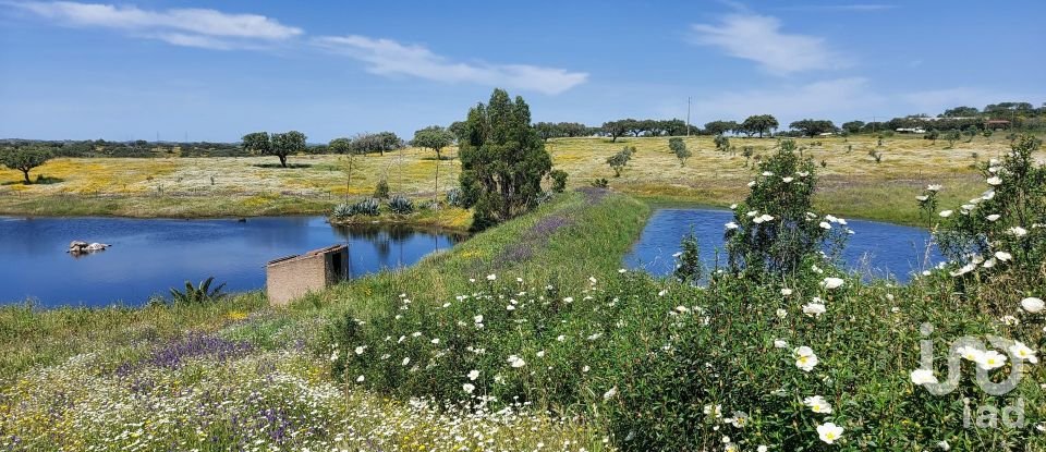 Ferme T5 à Ourique de 793 100 m²