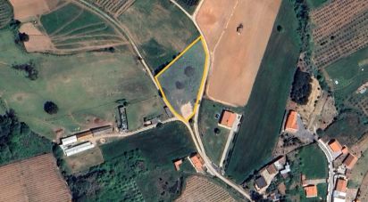 Building land in Cadaval e Pêro Moniz of 3,840 m²