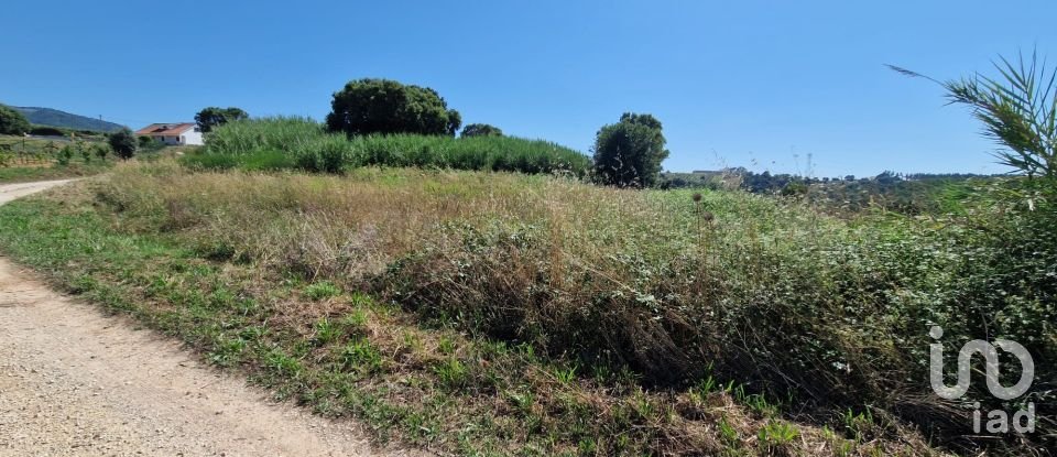 Building land in Cadaval e Pêro Moniz of 3,840 m²