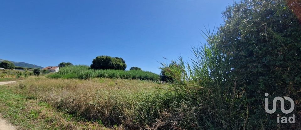 Building land in Cadaval e Pêro Moniz of 3,840 m²