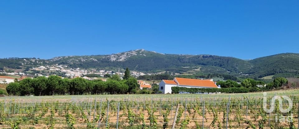 Terrain à bâtir à Cadaval e Pêro Moniz de 3 840 m²