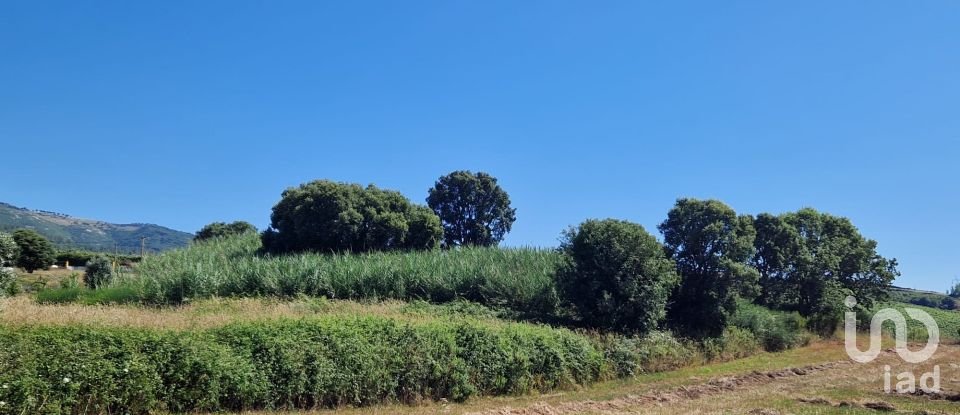 Terreno para construção em Cadaval e Pêro Moniz de 3 840 m²