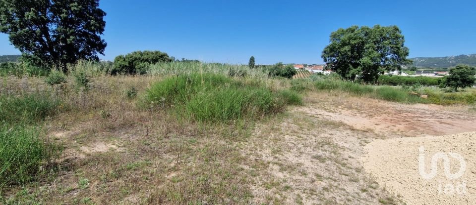 Building land in Cadaval e Pêro Moniz of 3,840 m²