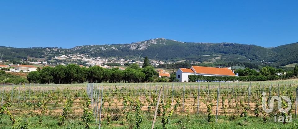 Terrain à bâtir à Cadaval e Pêro Moniz de 3 840 m²