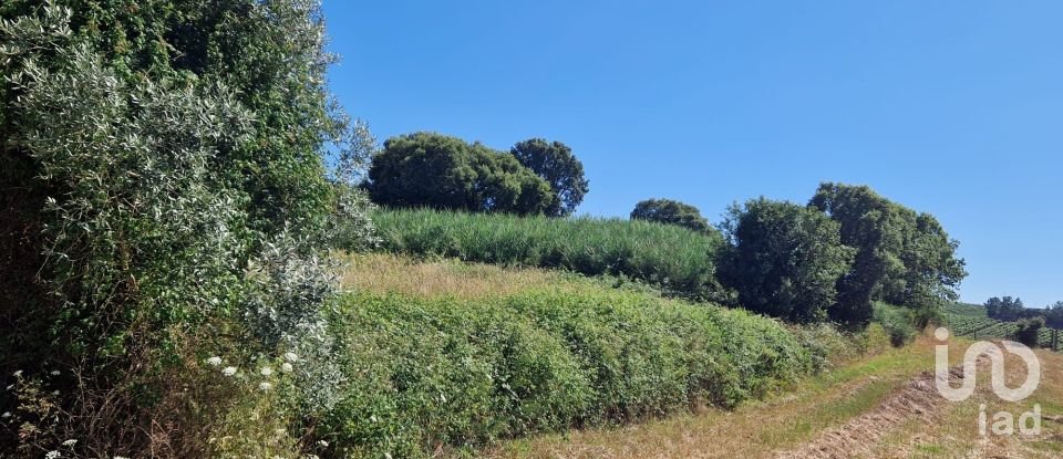 Terrain à bâtir à Cadaval e Pêro Moniz de 3 840 m²