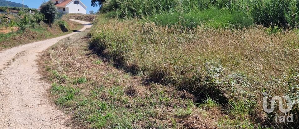 Terreno para construção em Cadaval e Pêro Moniz de 3 840 m²