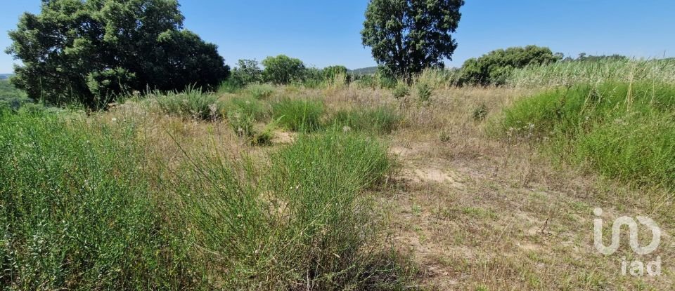 Terrain à bâtir à Cadaval e Pêro Moniz de 3 840 m²