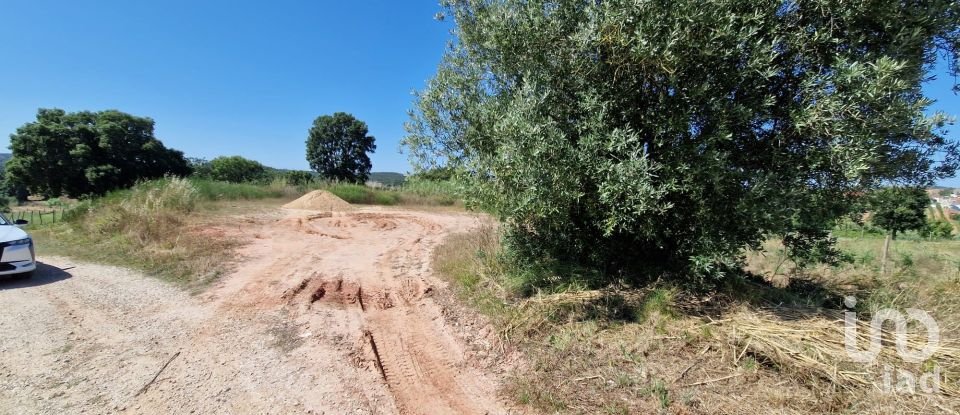 Building land in Cadaval e Pêro Moniz of 3,840 m²