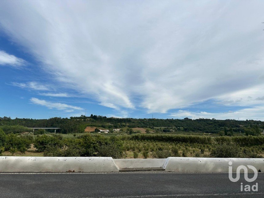 Terrain à Santa Maria, São Pedro e Sobral da Lagoa de 24 000 m²