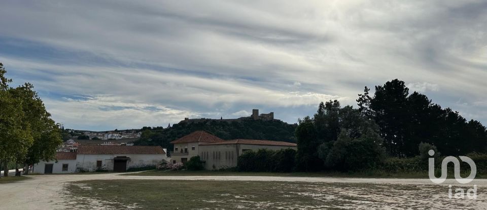 Terrain à Santa Maria, São Pedro e Sobral da Lagoa de 24 000 m²