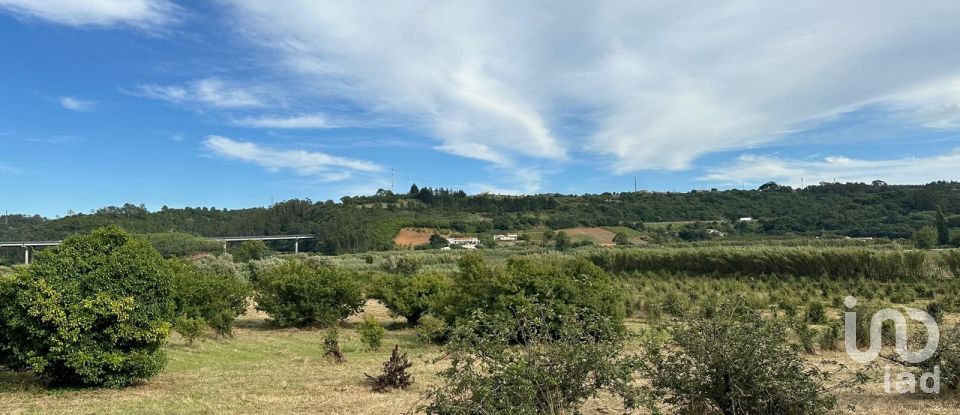 Terrain à Santa Maria, São Pedro e Sobral da Lagoa de 24 000 m²