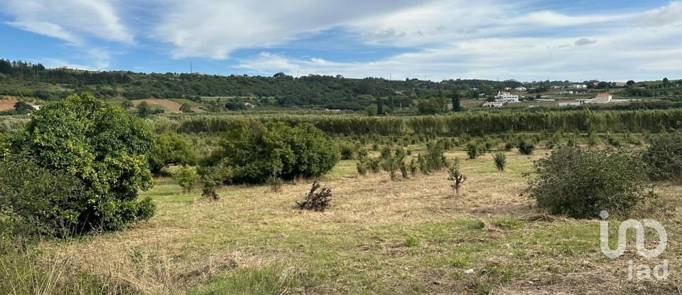 Land in Santa Maria, São Pedro e Sobral da Lagoa of 24,000 m²