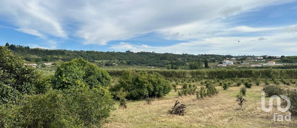 Land in Santa Maria, São Pedro e Sobral da Lagoa of 24,000 m²