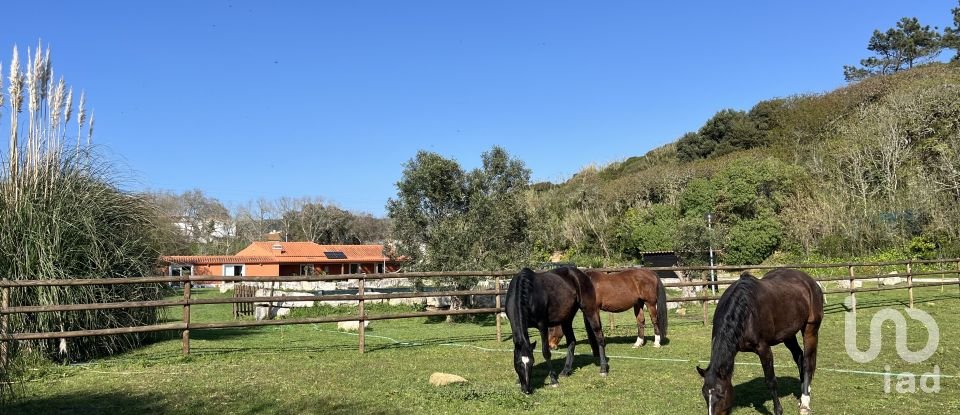 Farm T4 in Foz do Arelho of 180 m²