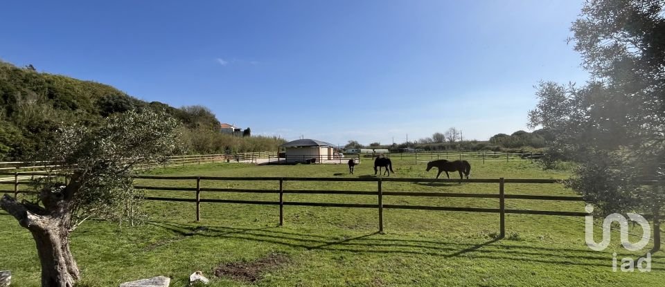 Ferme T4 à Foz do Arelho de 180 m²